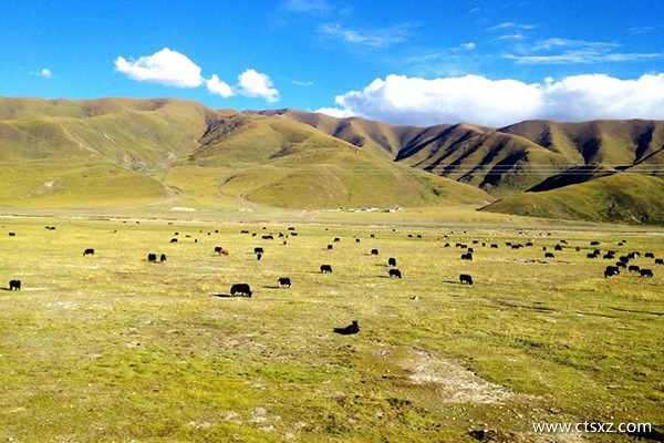 單人游拉薩的費(fèi)用