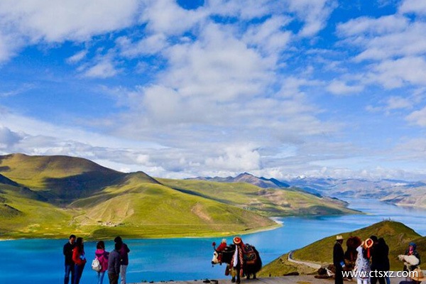 西藏旅游當地旅行社