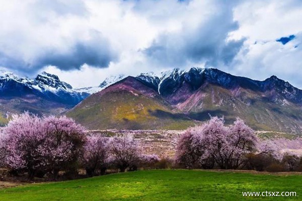 現在適合去西藏旅游嗎