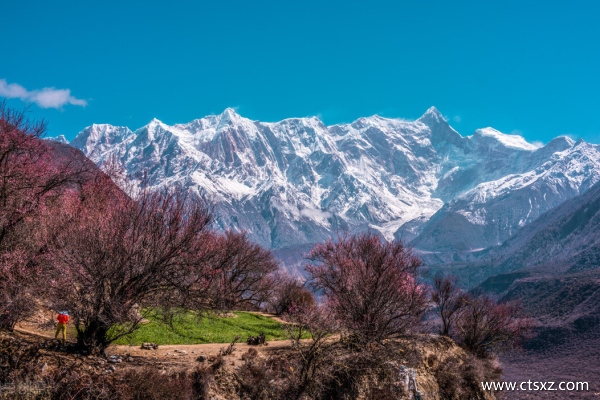 西藏旅游團