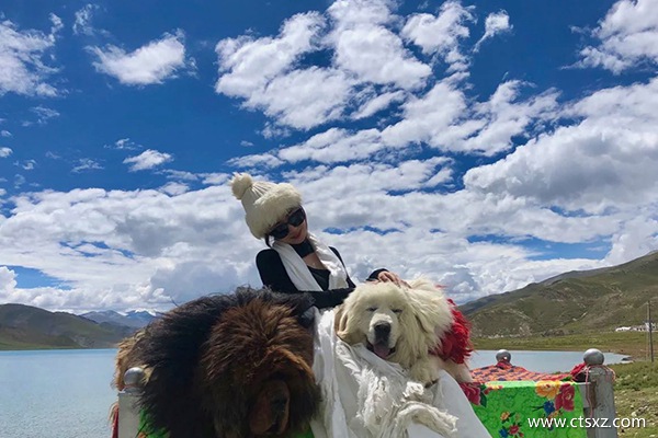西藏旅游團(tuán)報價7日游