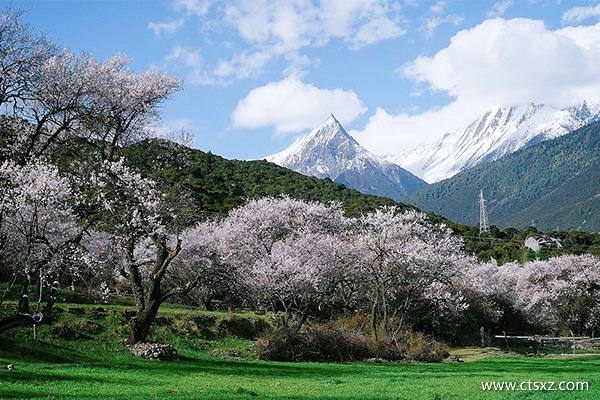 去拉薩的團一般多少錢