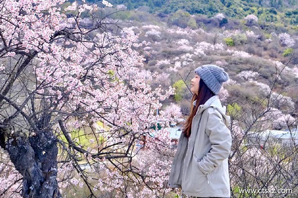 跟旅游團去西藏要多少錢